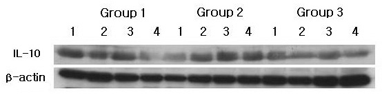 Figure 1A