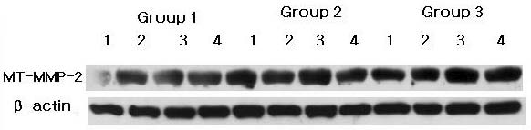 Figure 2A