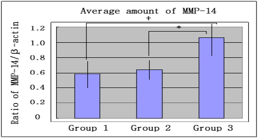 Fig. 2B.