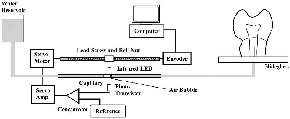 Fig. 1.