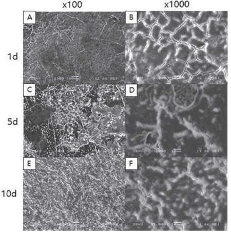 Figure 5.