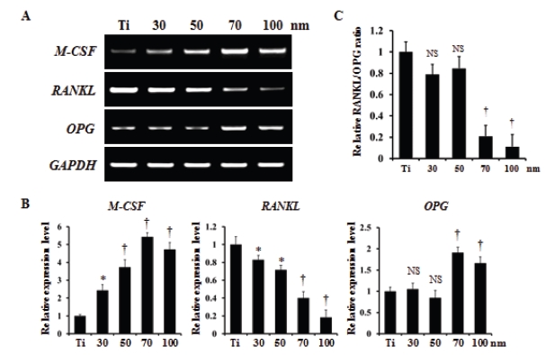 Figure 5.