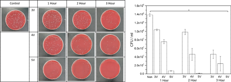 Figure 5.