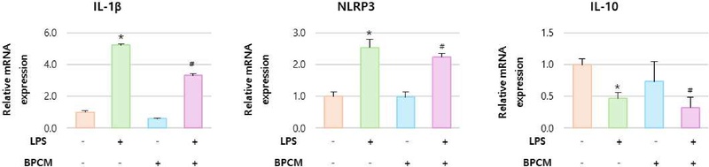 Figure 3. 