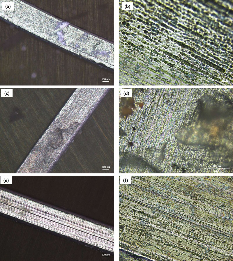 Figure 4. Figure 4.