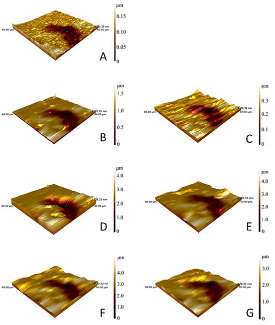 Figure 6.